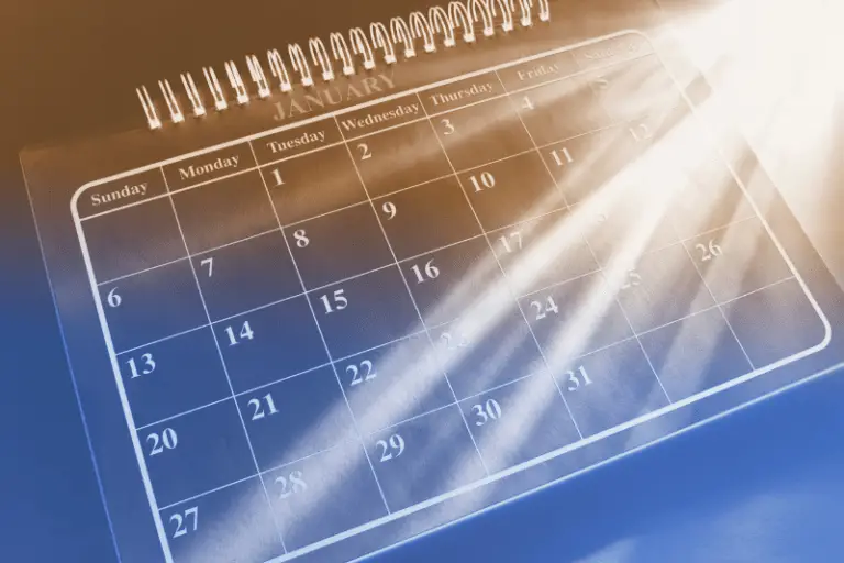 January calender graphic