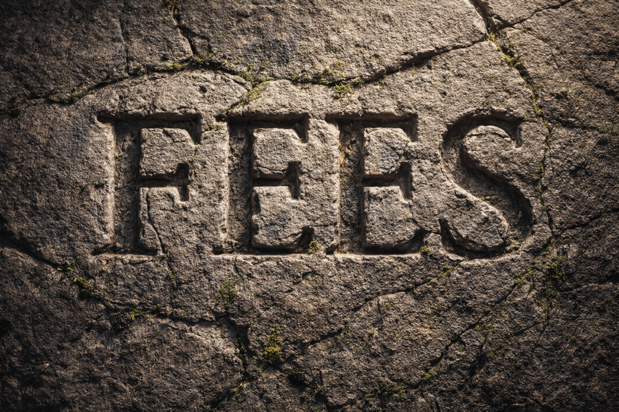 Fees image